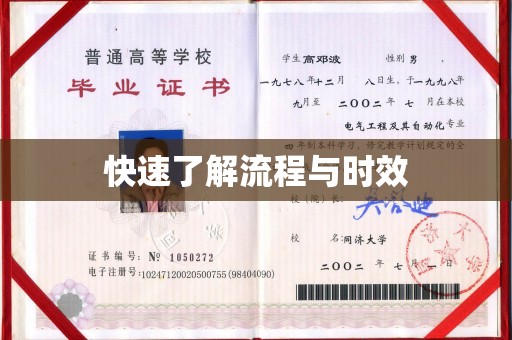 景洪快速了解流程与时效